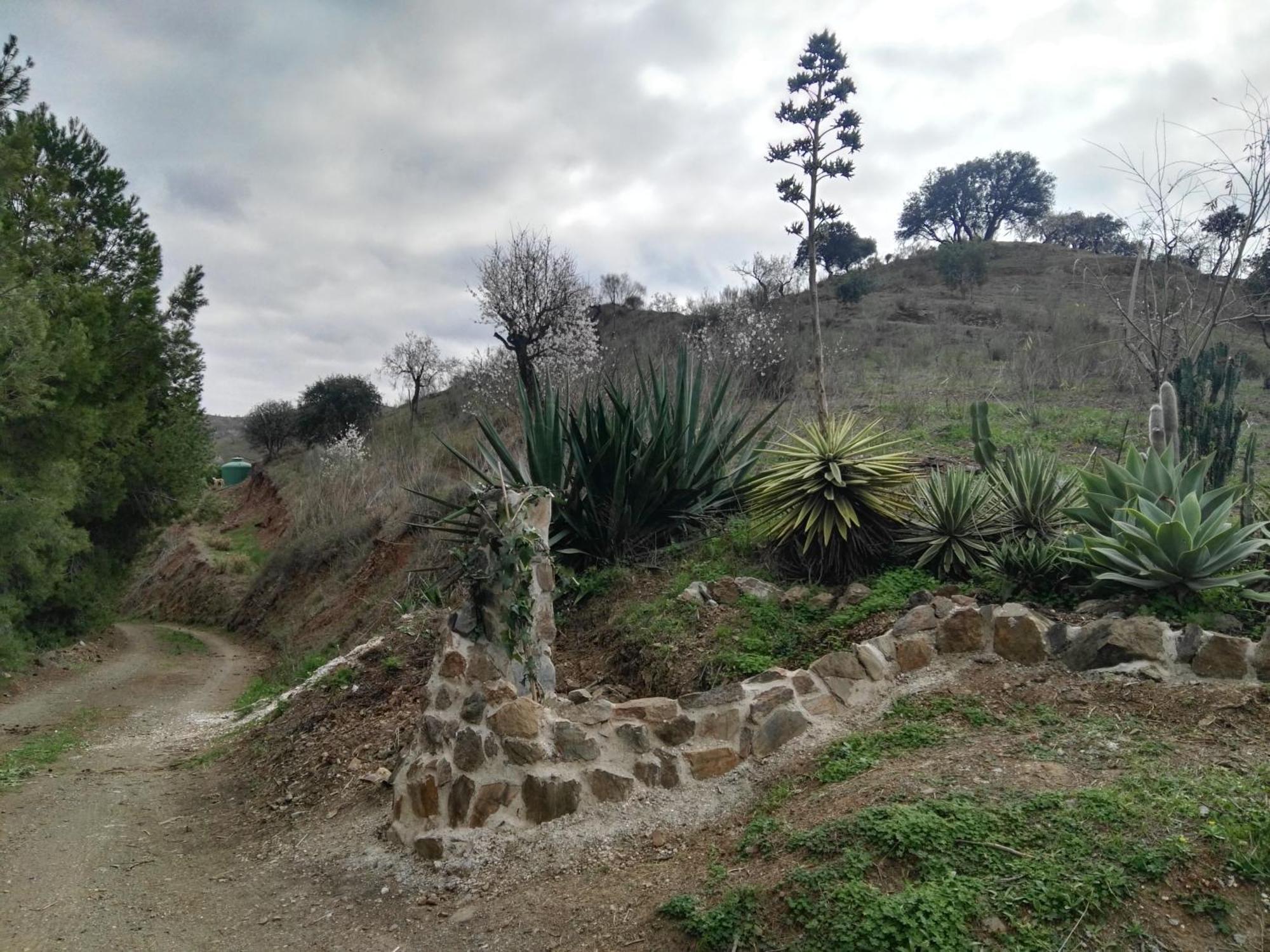 Pinar El Almendra Casa de férias *