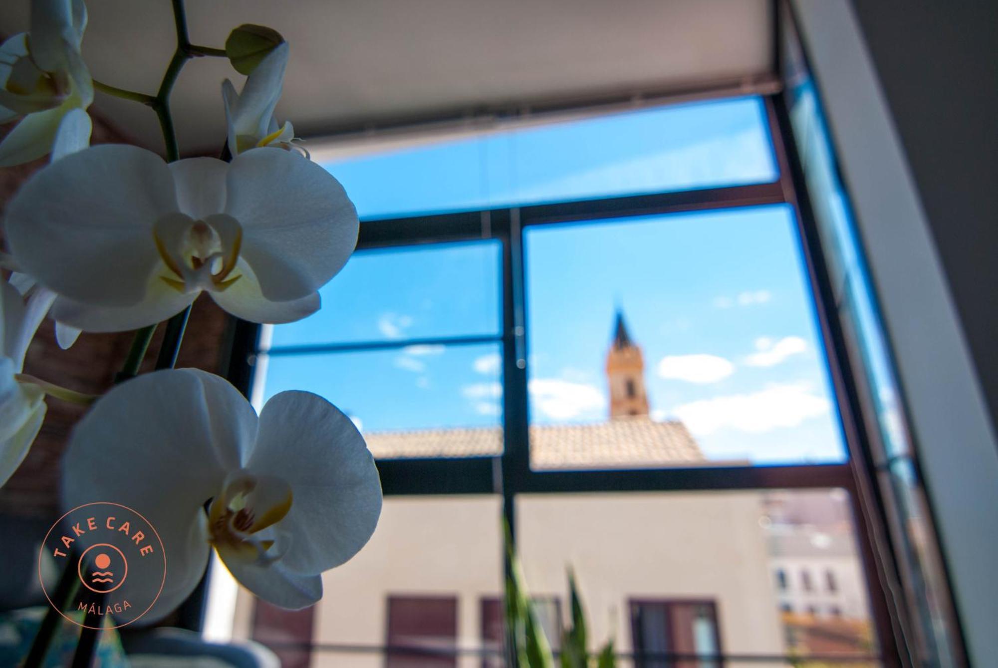 Apartment With Terrace In Center - Tcm Málaga