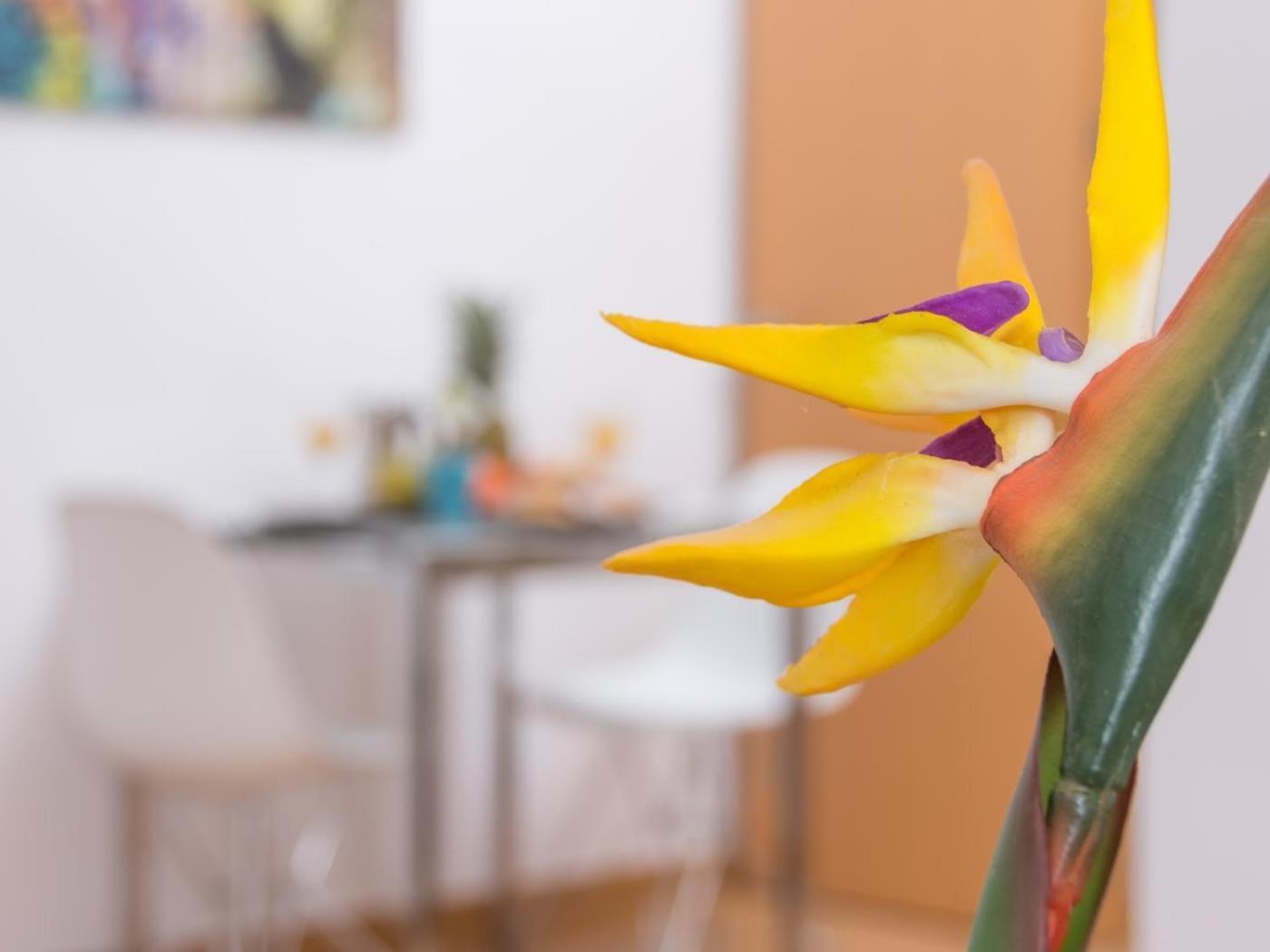 Apartamento Magnifico Estudio En Bolsa 6. Ac. *