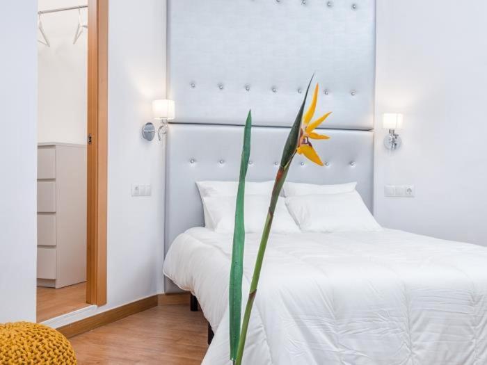 Magnifico Estudio En Bolsa 6. Ac. Apartamento Málaga