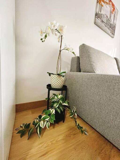Apartamento In The Heart Of *