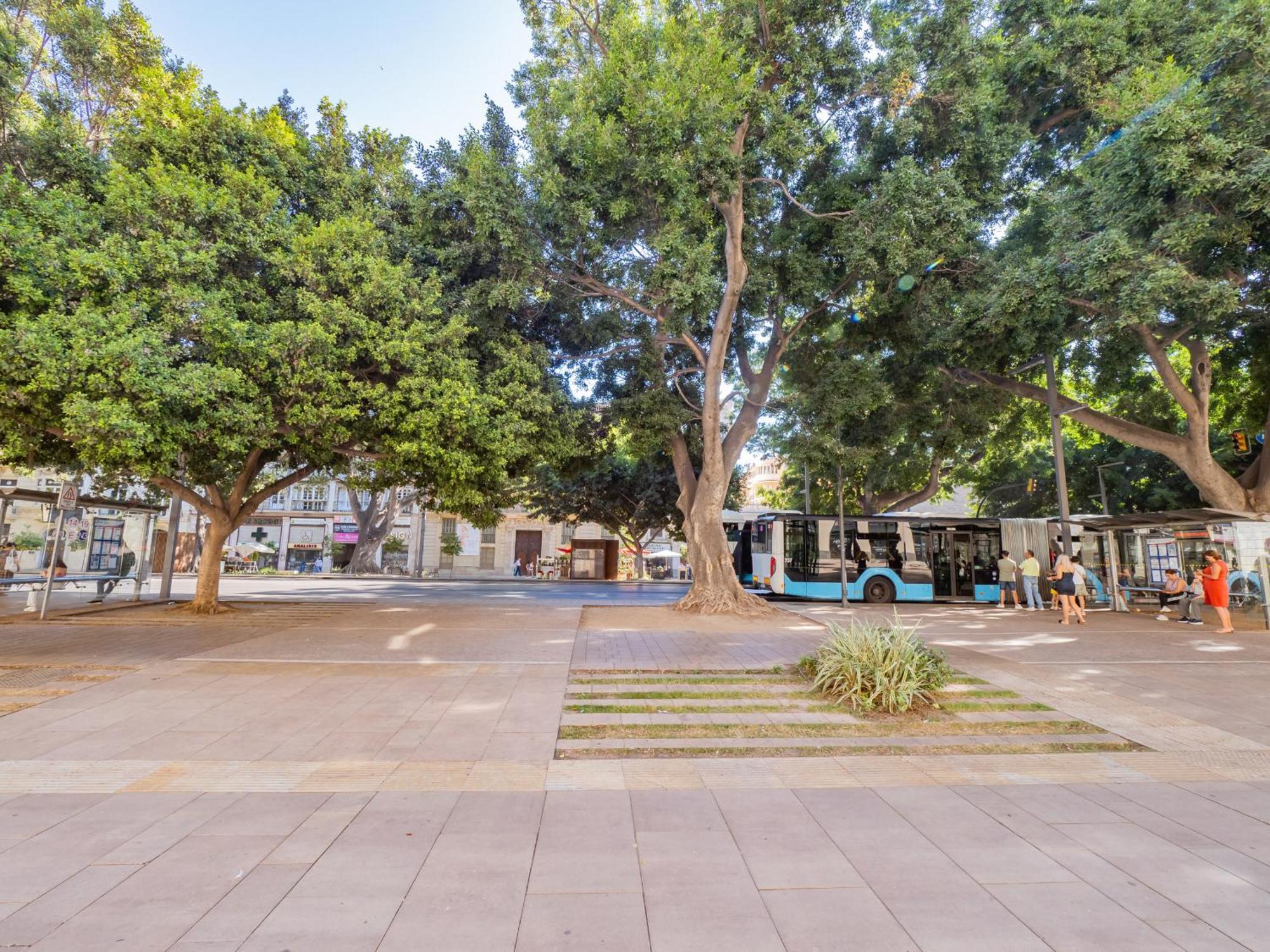 Cubo's 33 Carreteria 3b * Malaga