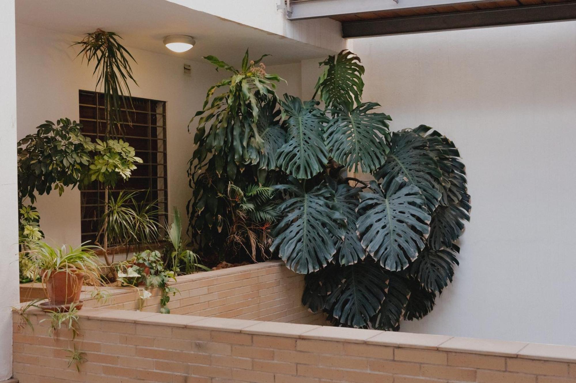 Zamorano Appartement *
