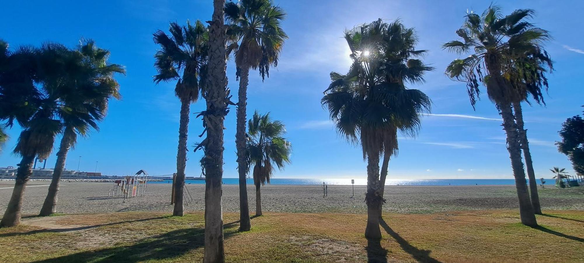 La Loperana * Malaga
