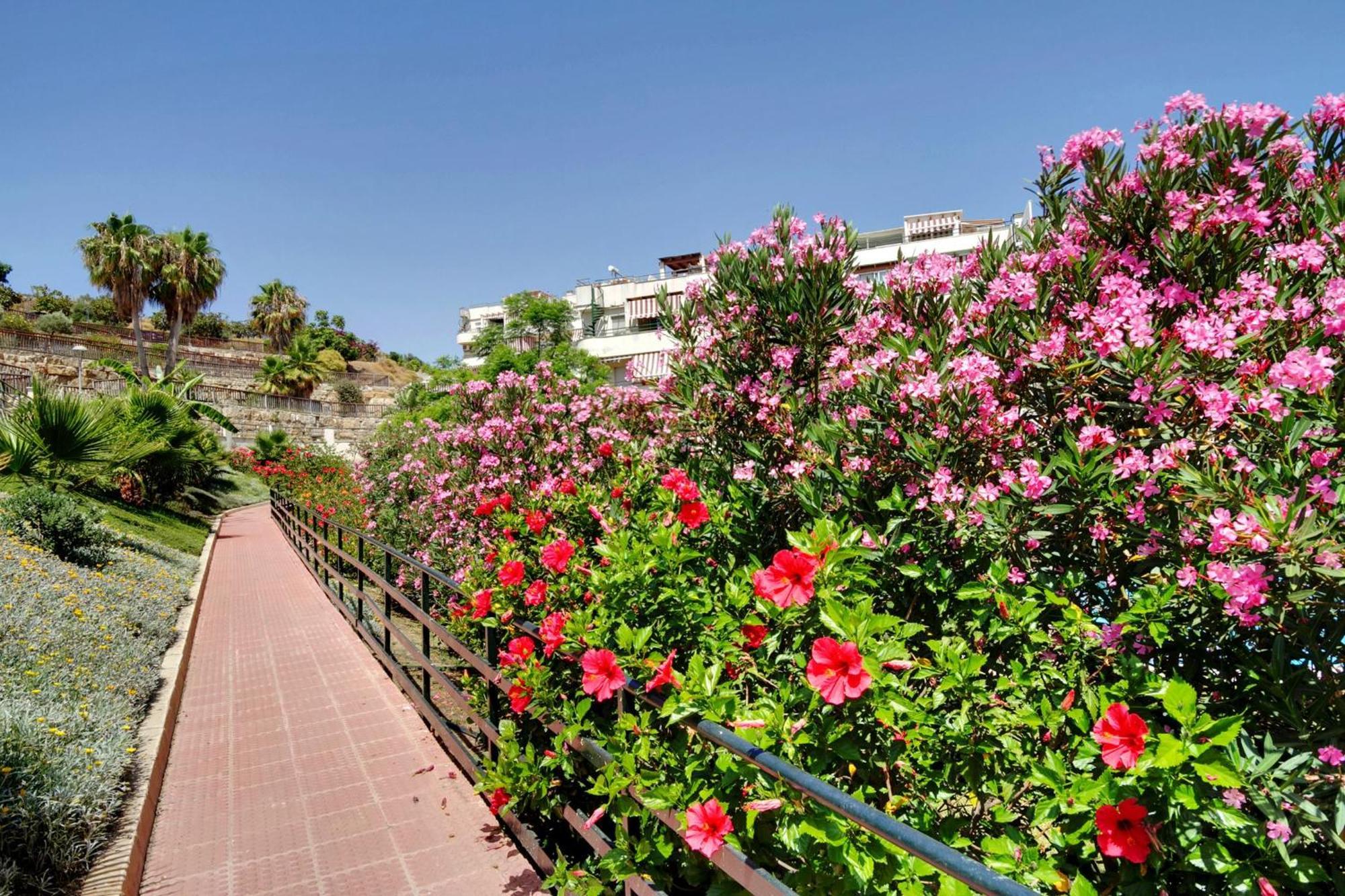 Apartamento Del Parque Flats - Golf & Terrace *