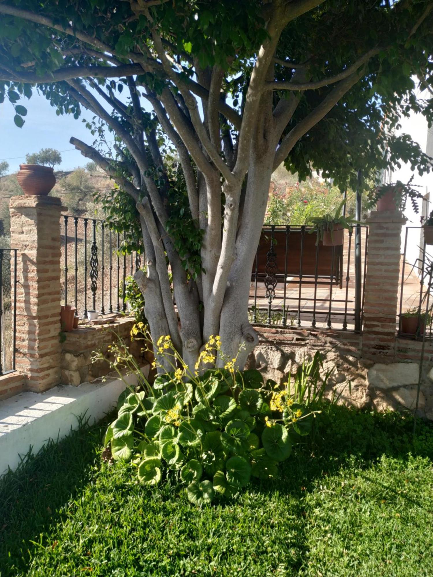 Vakantiehuis Paraje El Pozo Málaga