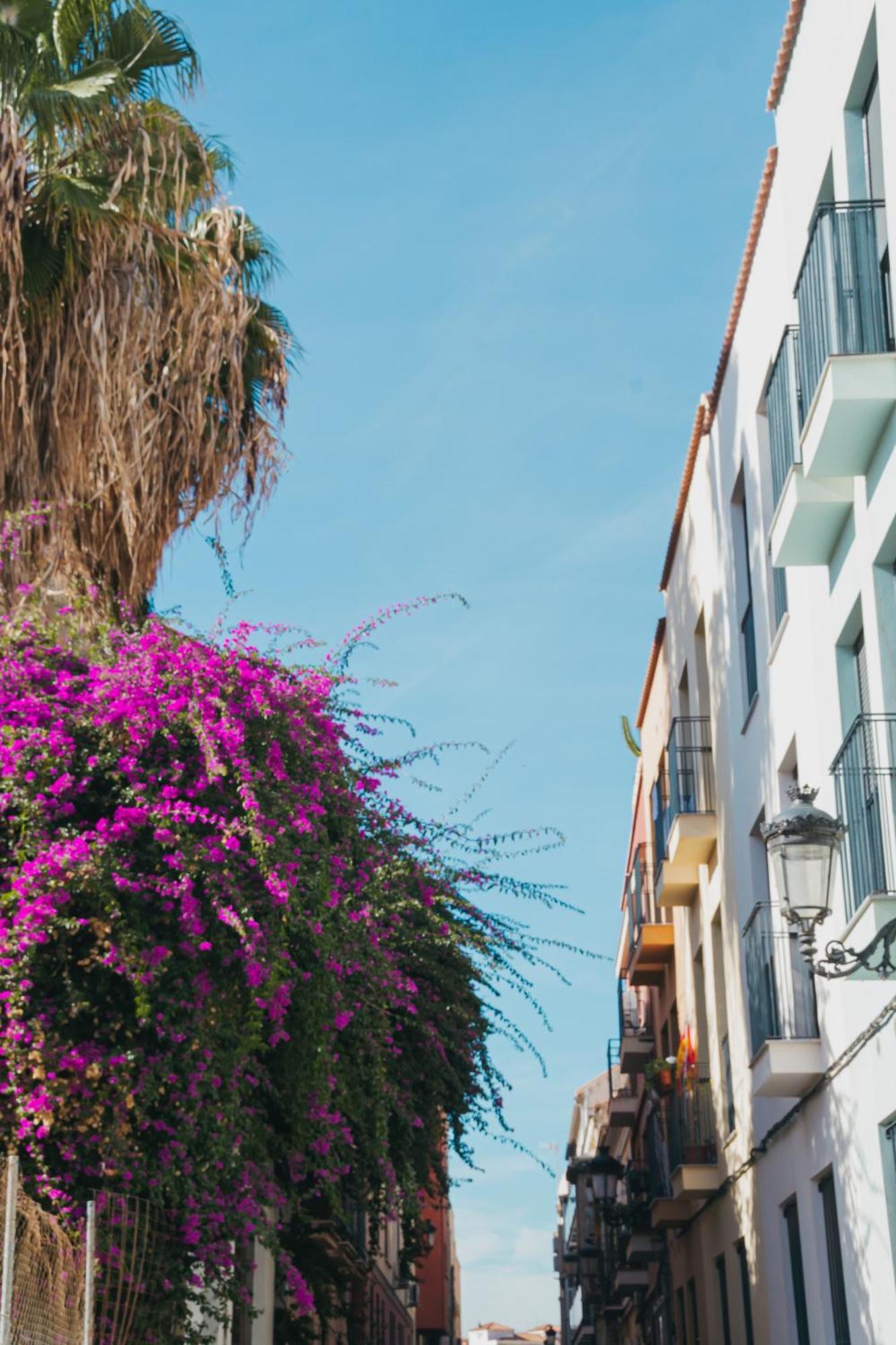 Picasso Premium Apartamento Málaga