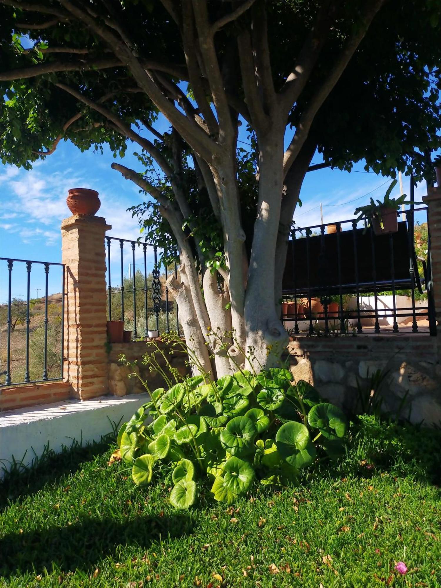 Paraje El Pozo Semesterbostad Málaga