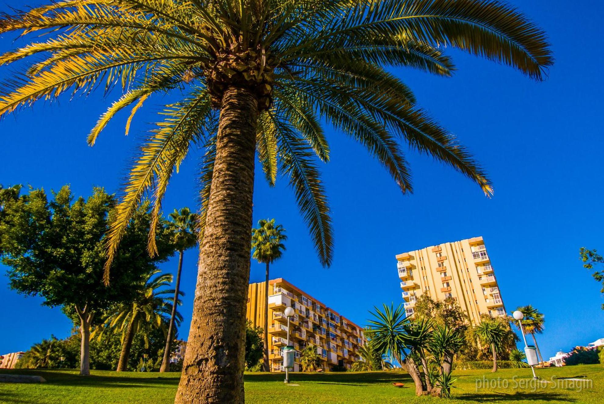 Lejlighed 237 Estudio En Minerva - Piscina Y Playa- Excelente Ubicacion Málaga