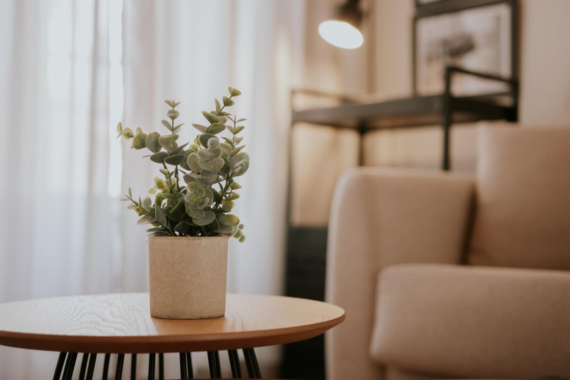 Apartamento Biznagales Málaga