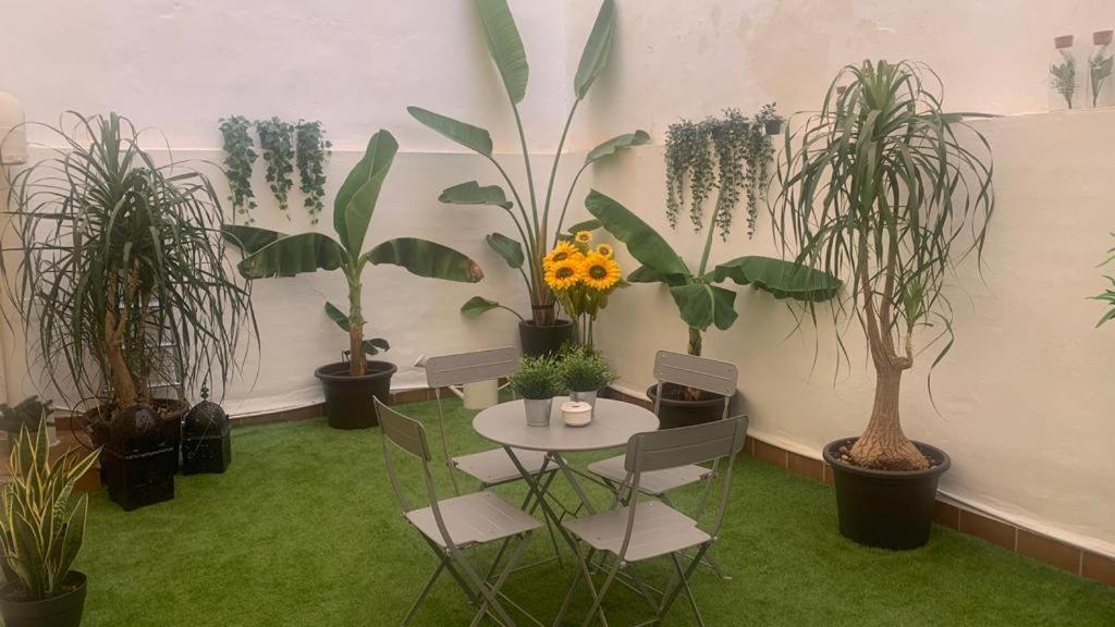 Apartment Maclea