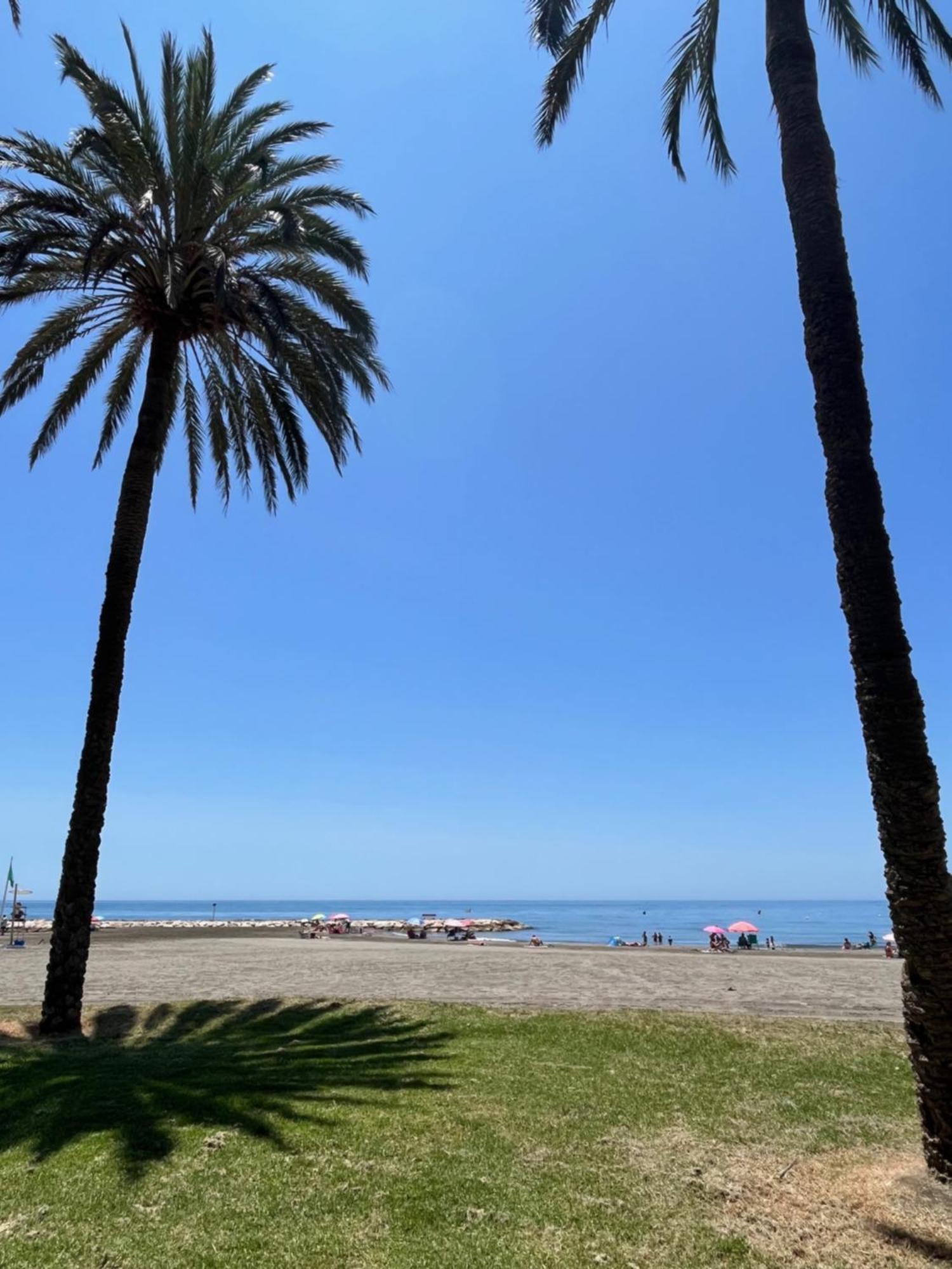 La Biznaga * Málaga