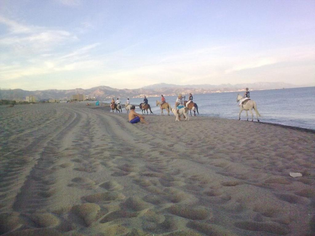 Hébergement de vacances Chalet En Guadalmar Málaga