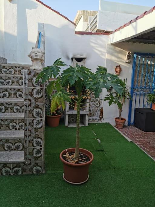 Villaer Virgen Bien Aparecida - Entire House