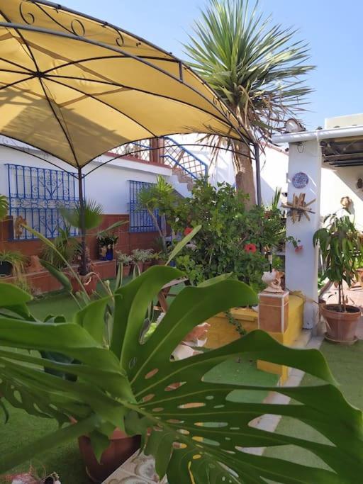 Virgen Bien Aparecida - Entire House