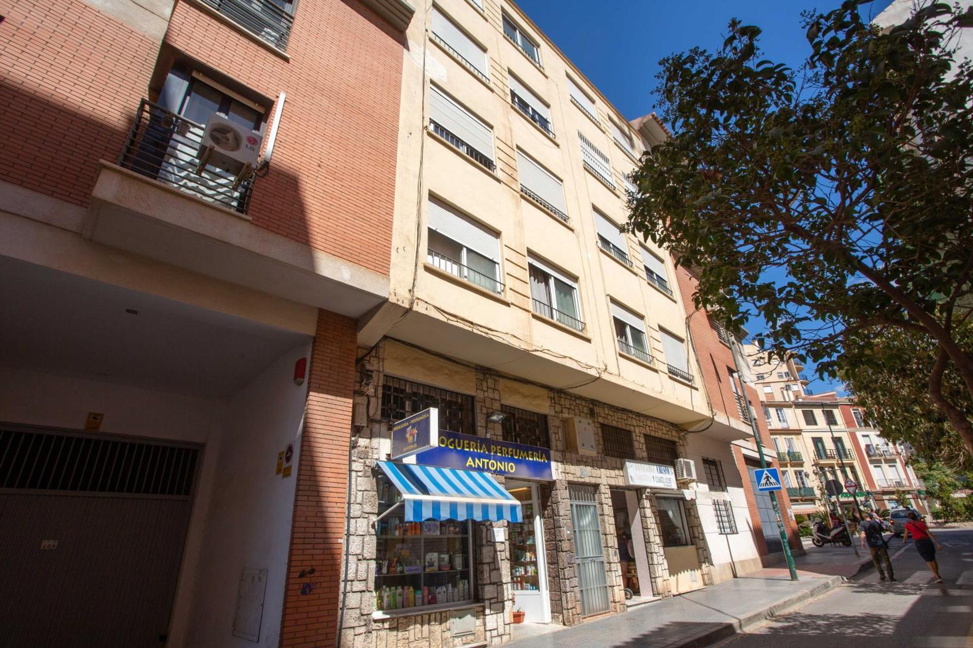 Centro Lagunillas Appartement