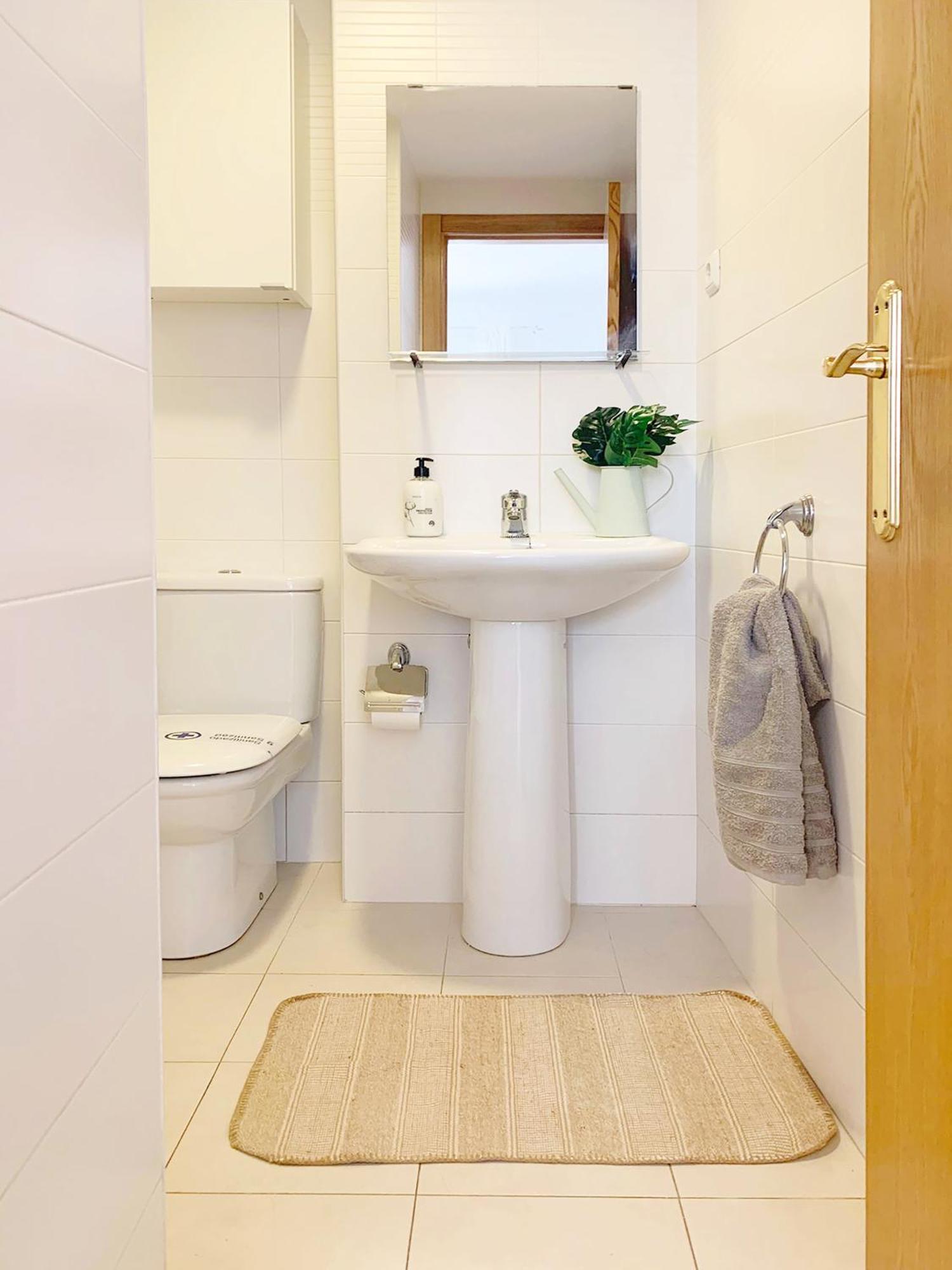 Malagadevacaciones - Premium Roson Apartment Malaga