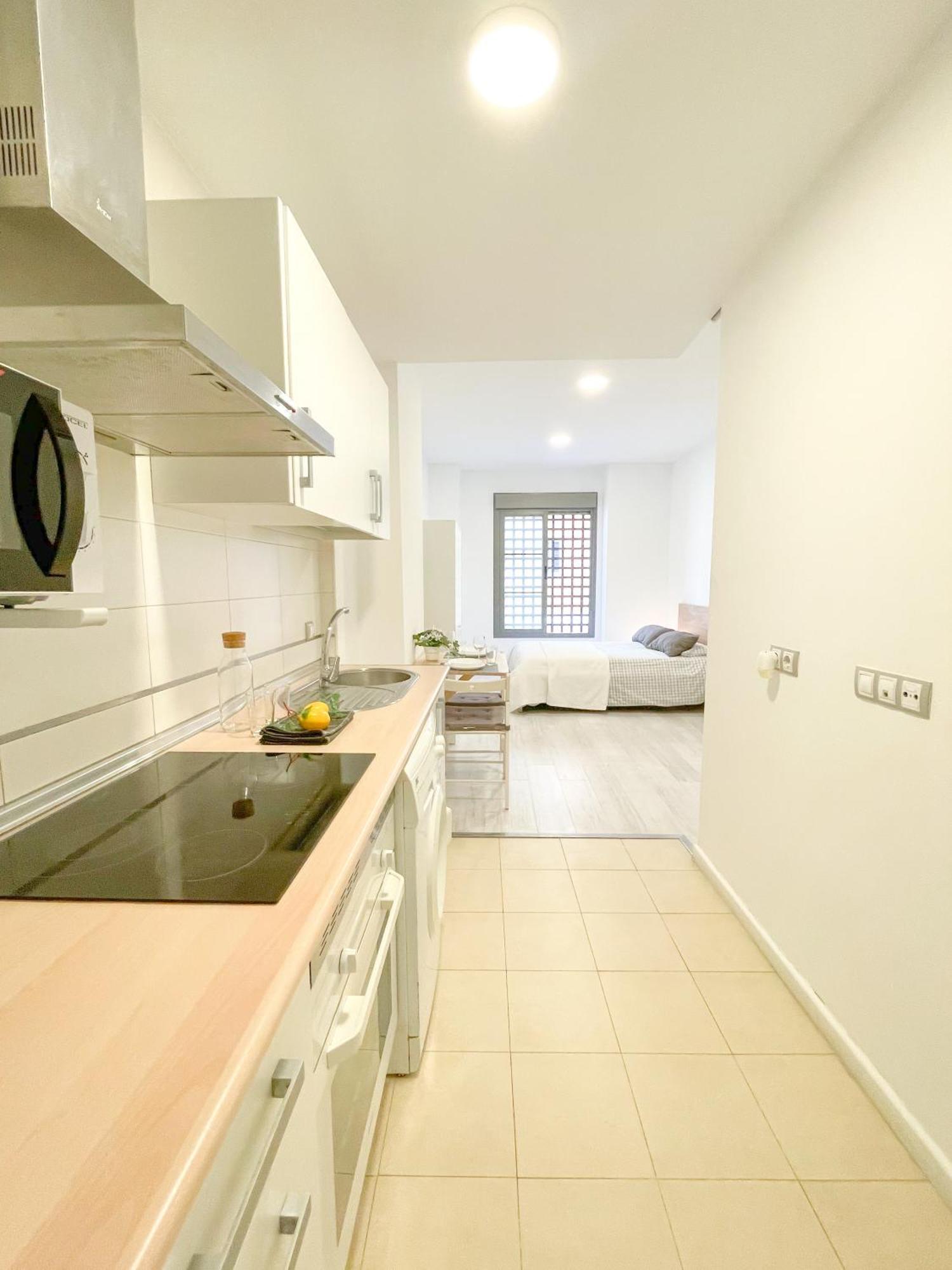 Apartamento Estudio En Centro