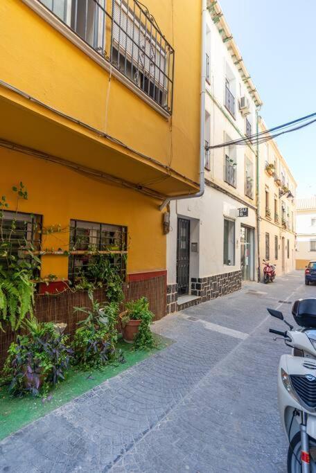 Appartamento 3 Bedroom Flat In Historic Centre