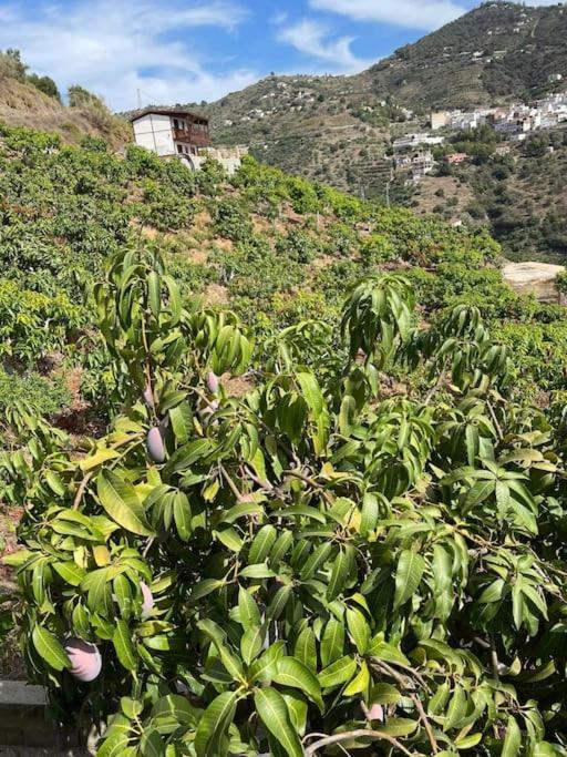 Escape To Sunny Competa, Mountain Views, Pool & Great Off-peak Rates From October To March *