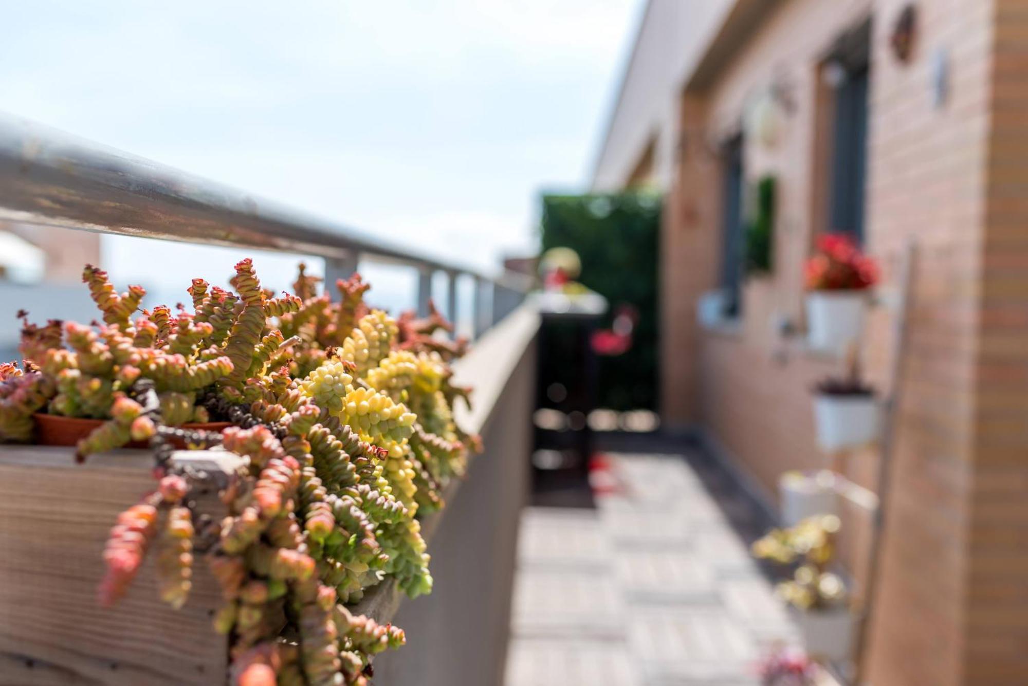 Appartamento ático Con Terraza Y Vistas, Parking Gratuito Málaga