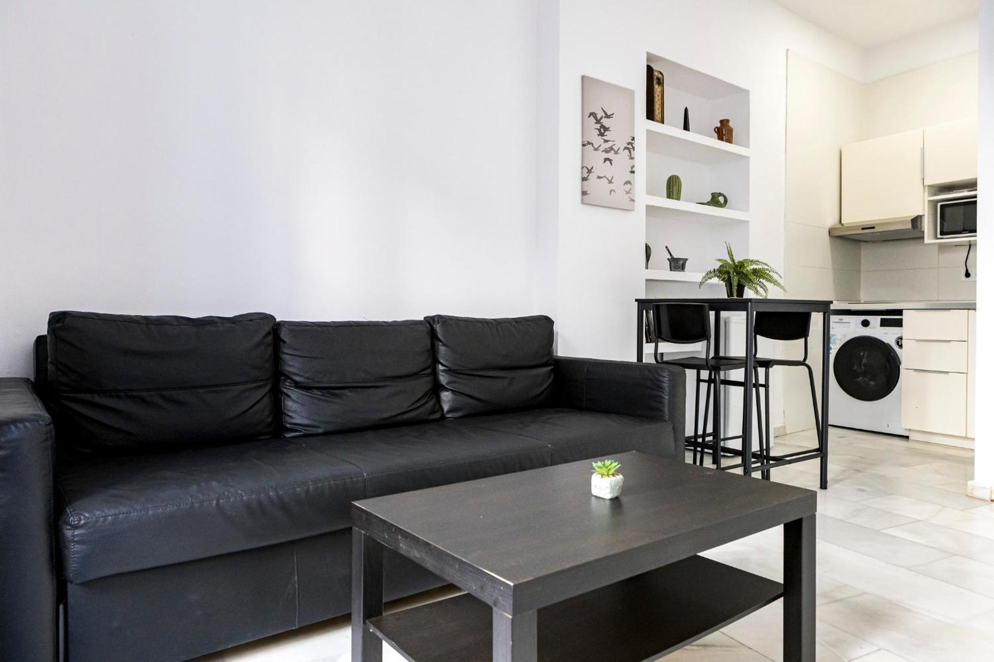 Apartamento Picasso Málaga