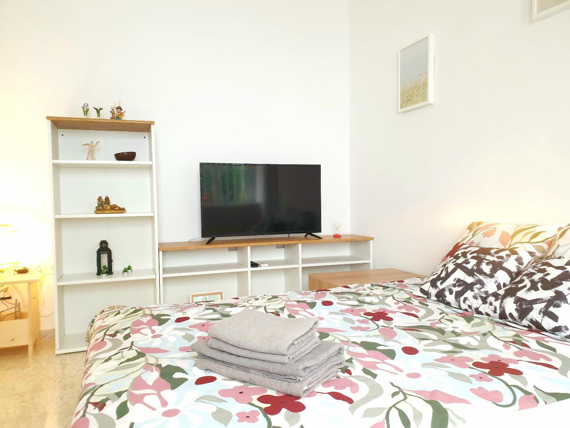 Apartment Sunny Malaga Centre Flats, 2 Options, With Balcony Or Terrace *