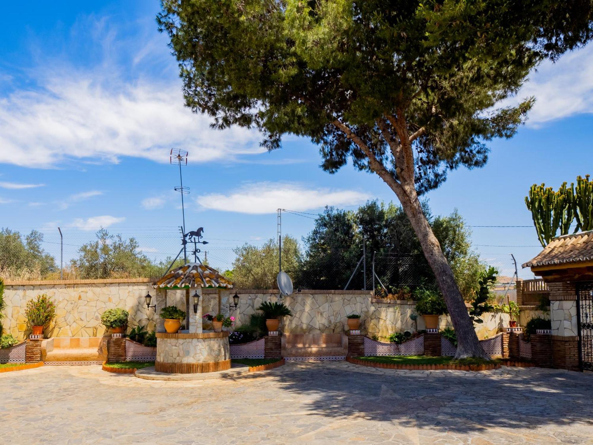 Cubo's Fina & Minigolf Included Malaga