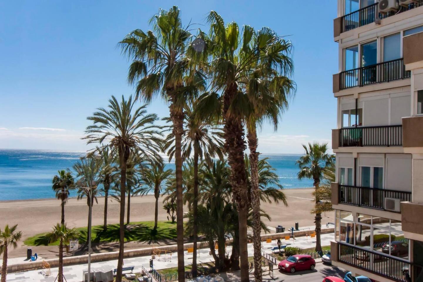 Living Malagueta With Parking Free Appartement