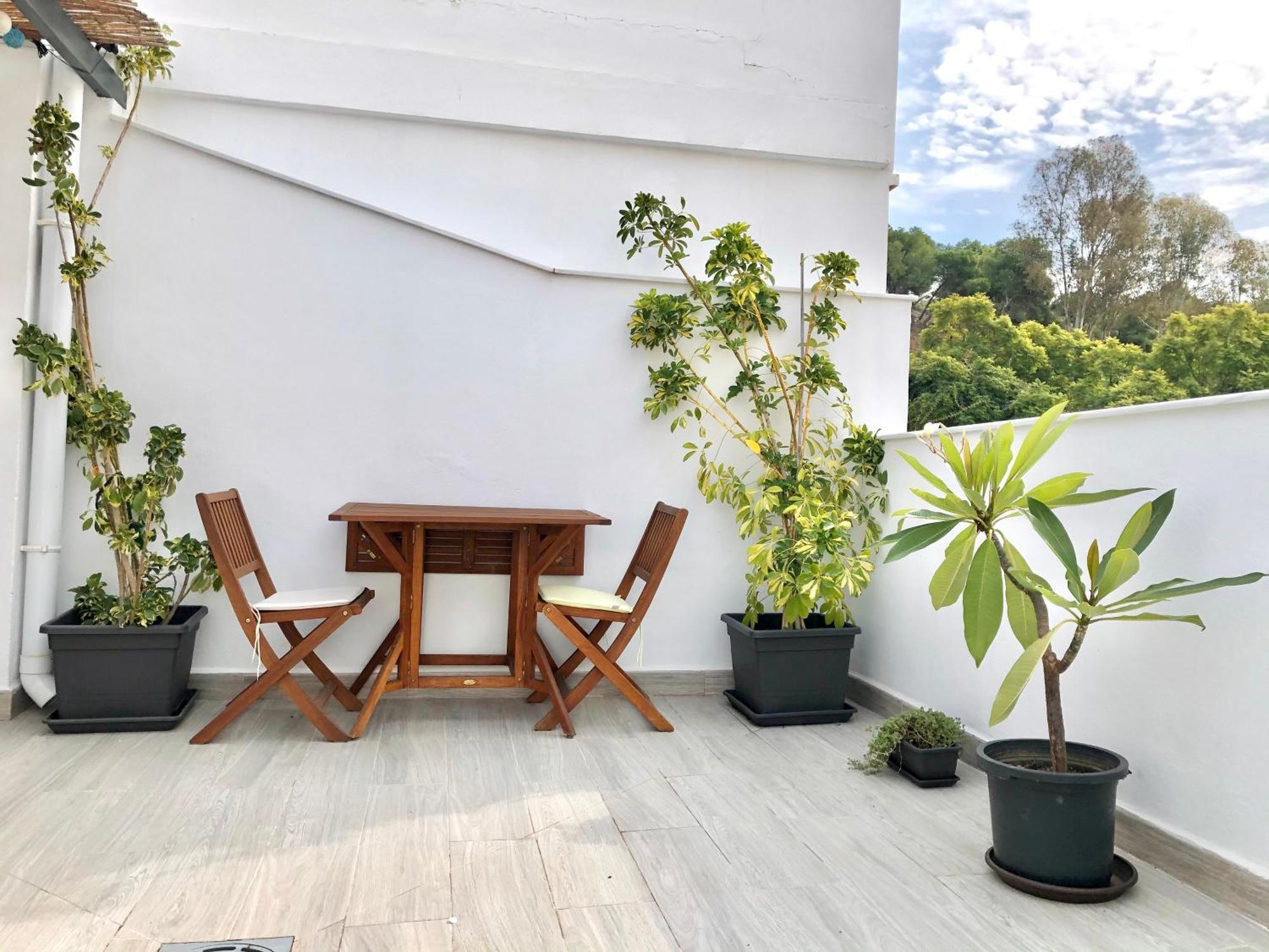 Apartamento Centro Picacho