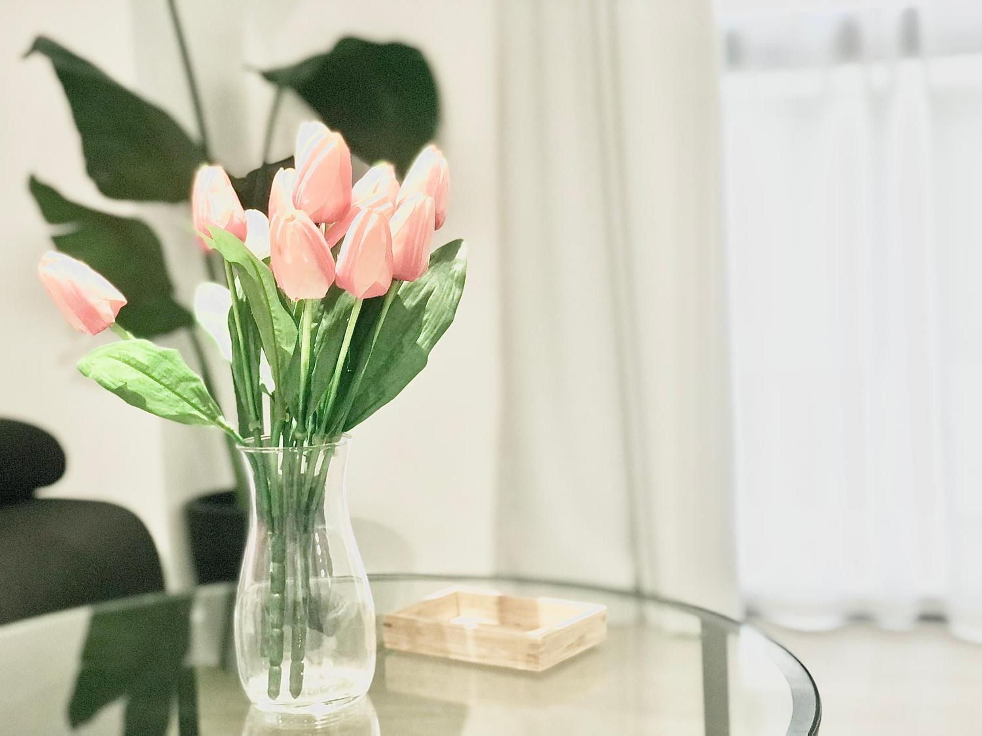 Apartamento Centro Picacho Málaga