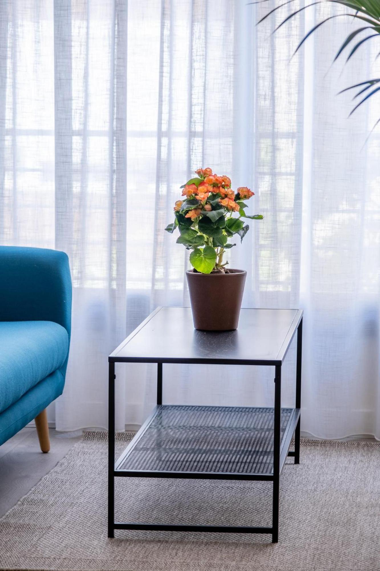 Juan De Austria Apartment