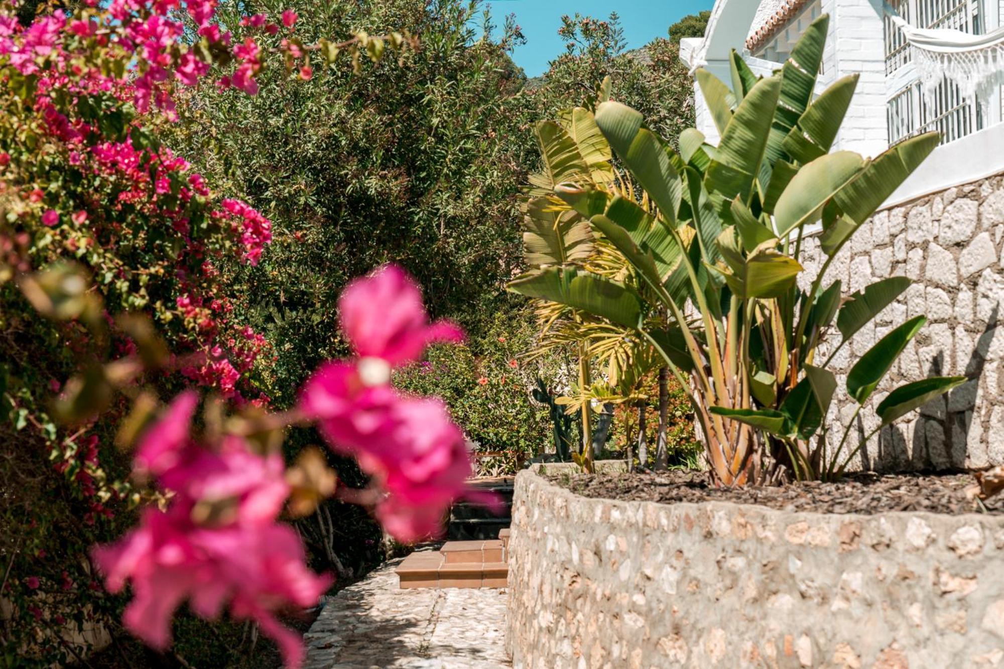 Lina - Andalusian 3-bedroom With Pool & Ocean View Villa