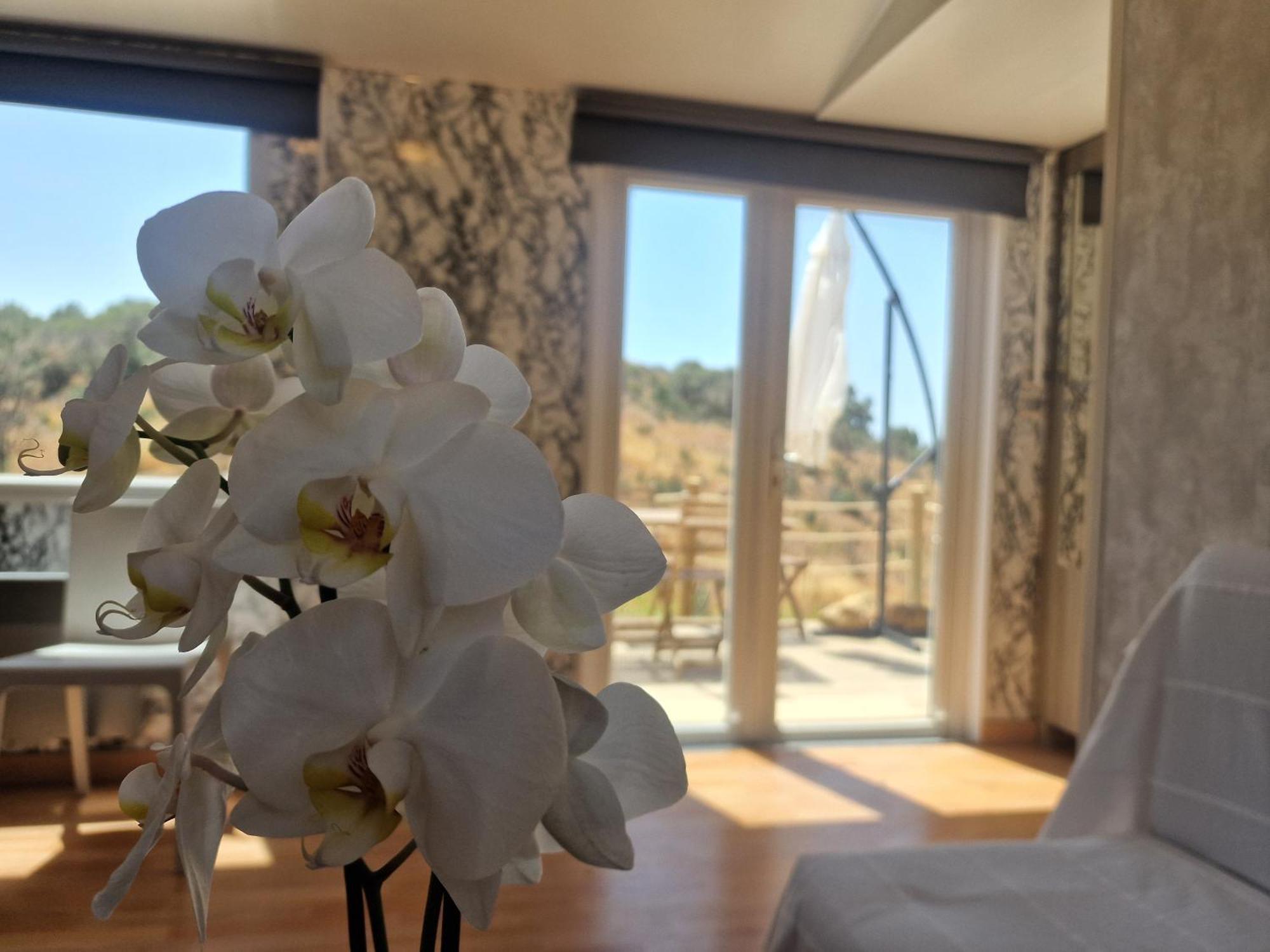 Aa Guest - La Roza Eco Mobile Mijas Costa Hébergement de vacances *
