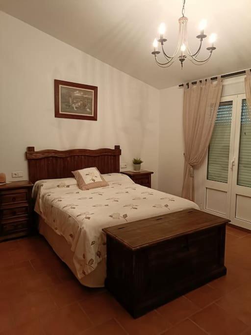 Petra Malaga