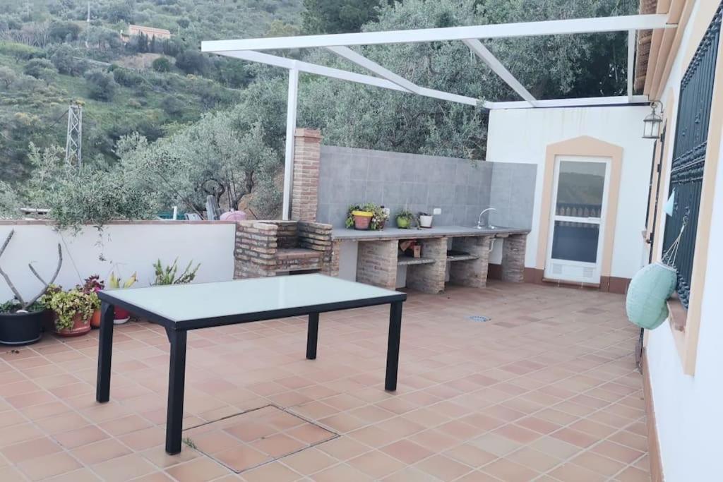 Petra Malaga