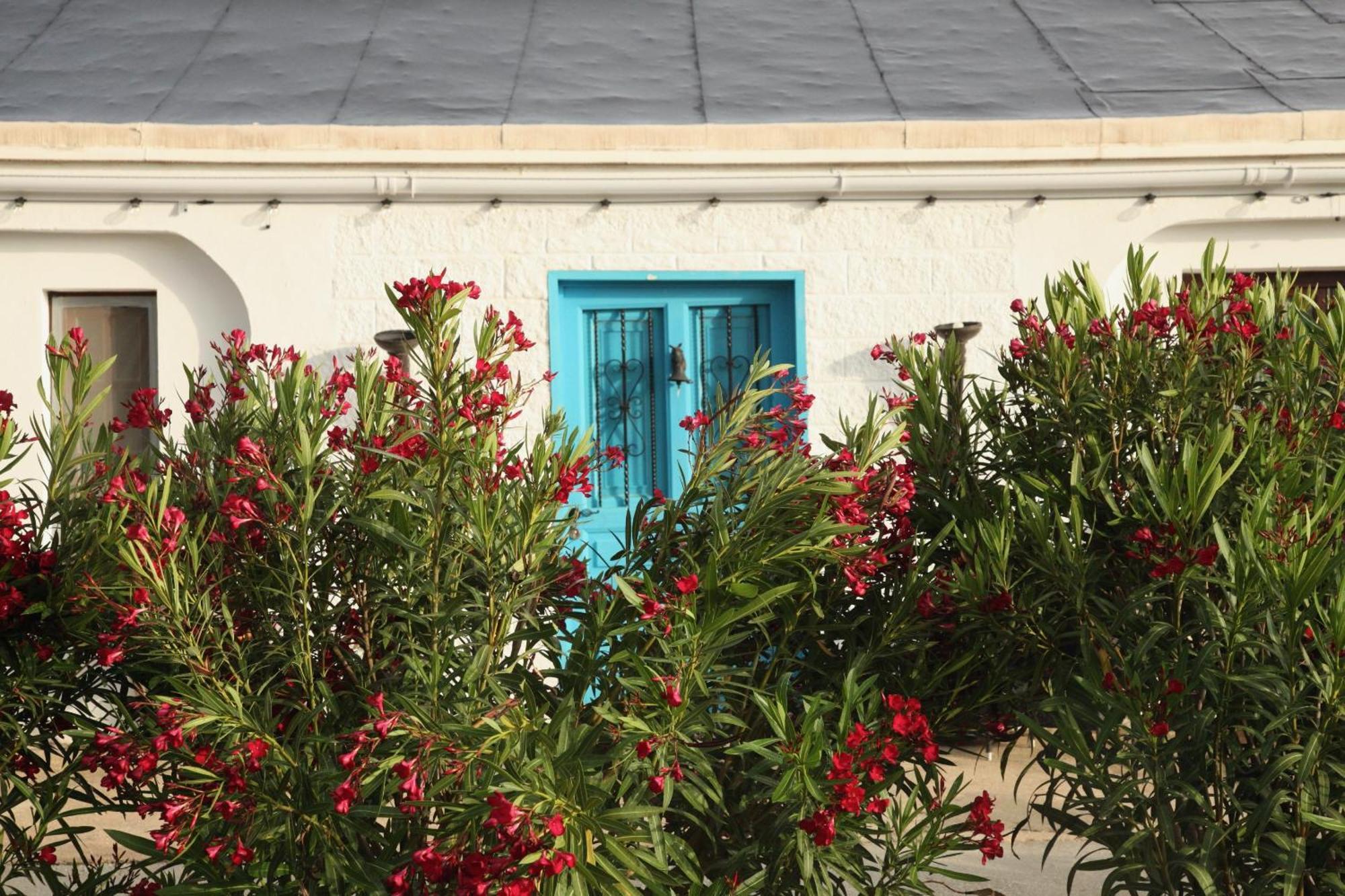 The Dragonfly Retreat * Malaga