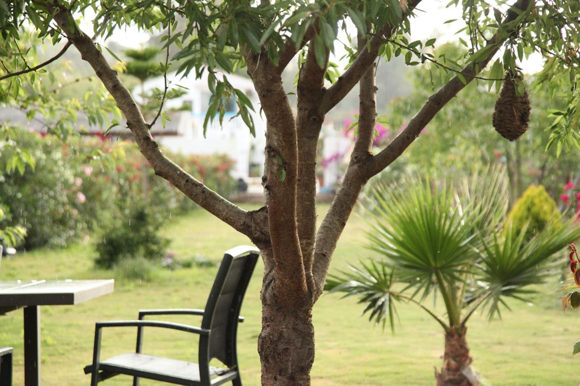 Apartment The Dragonfly Retreat Malaga