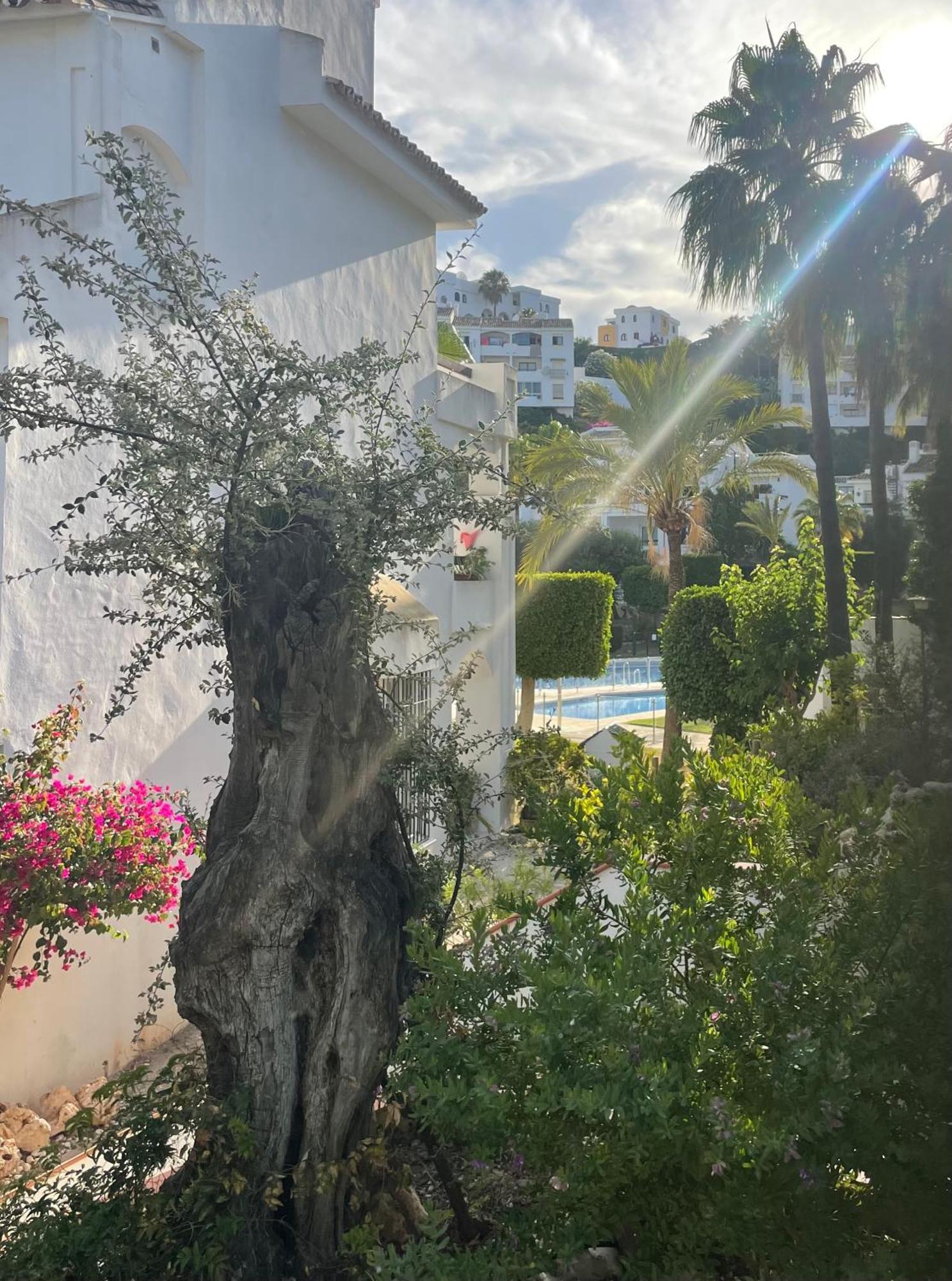 Two Bedroom, Two Bathroom, Balcony, Pool Area, View Apartment