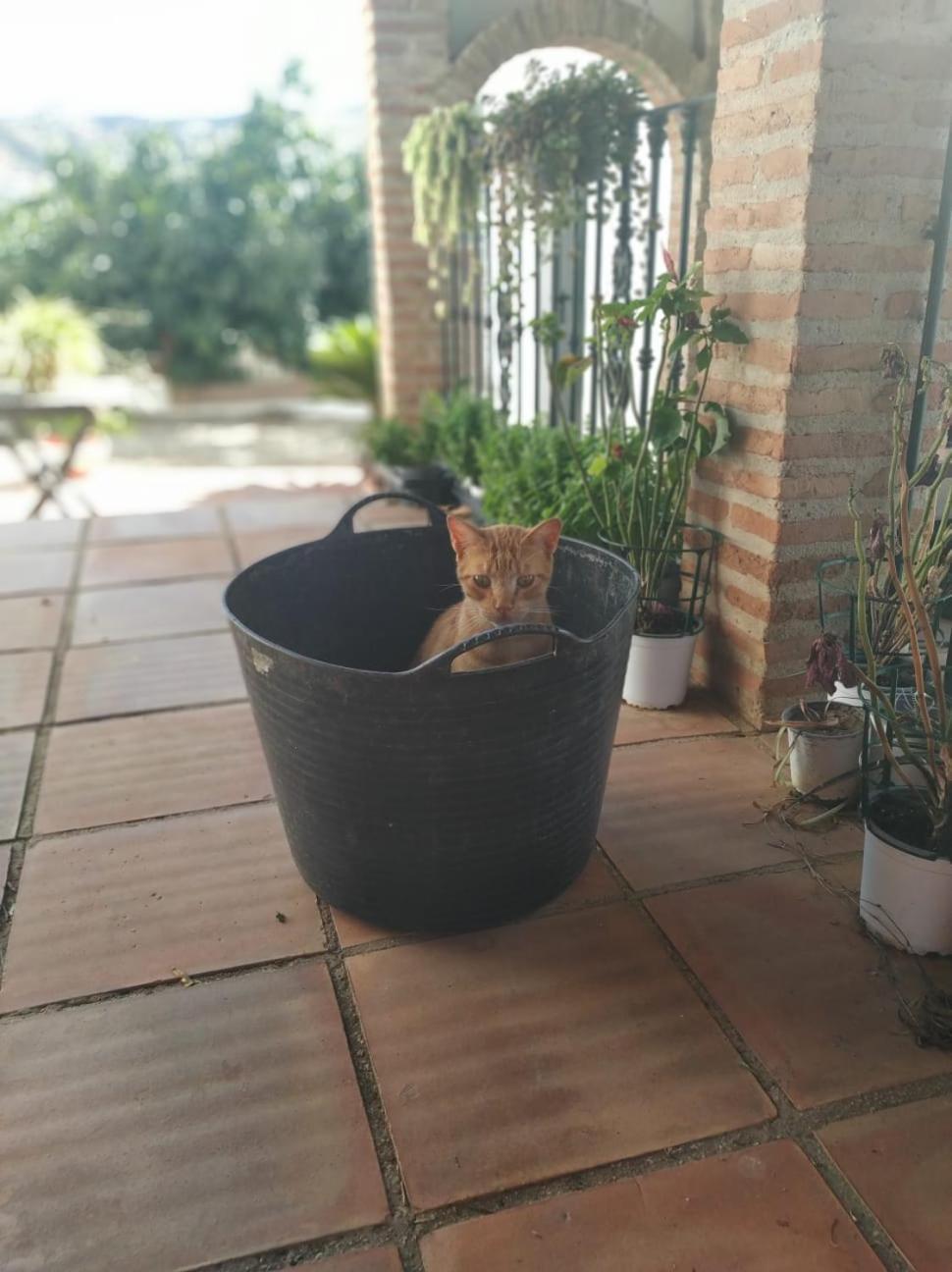 Vakantiehuis Paraje El Pozo *
