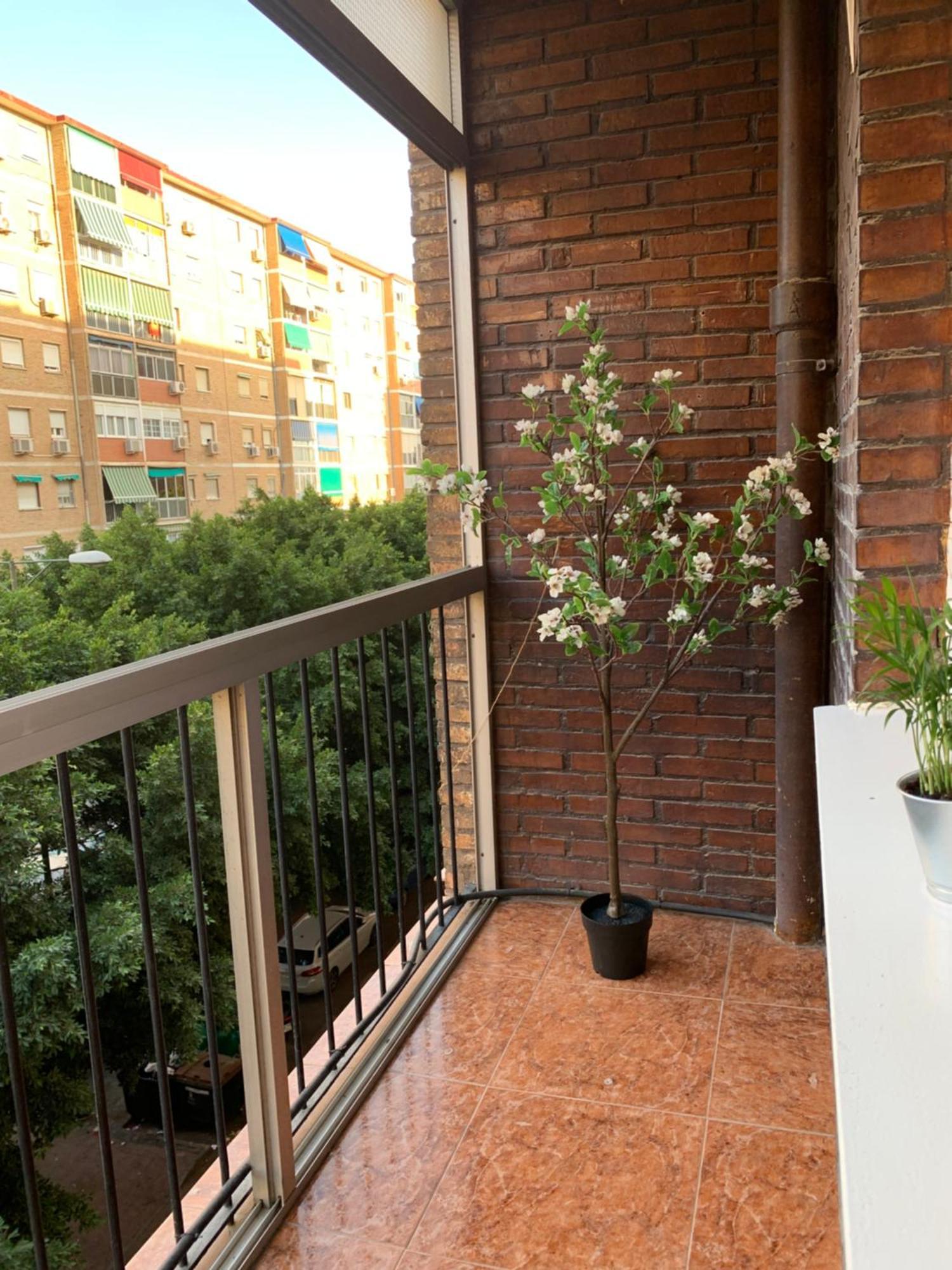 Bueno, Bonito Y Barato Appartamento Málaga
