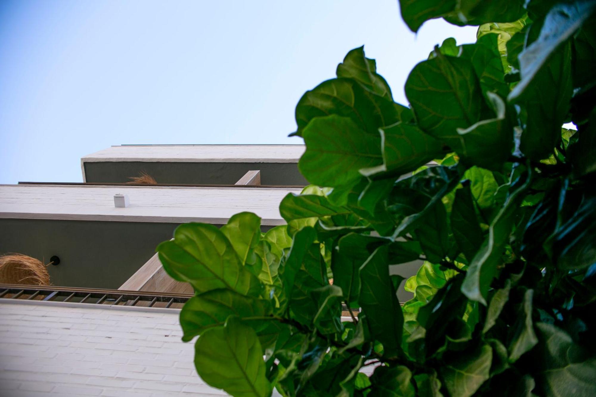 Casa Lyrata Comfort & Design