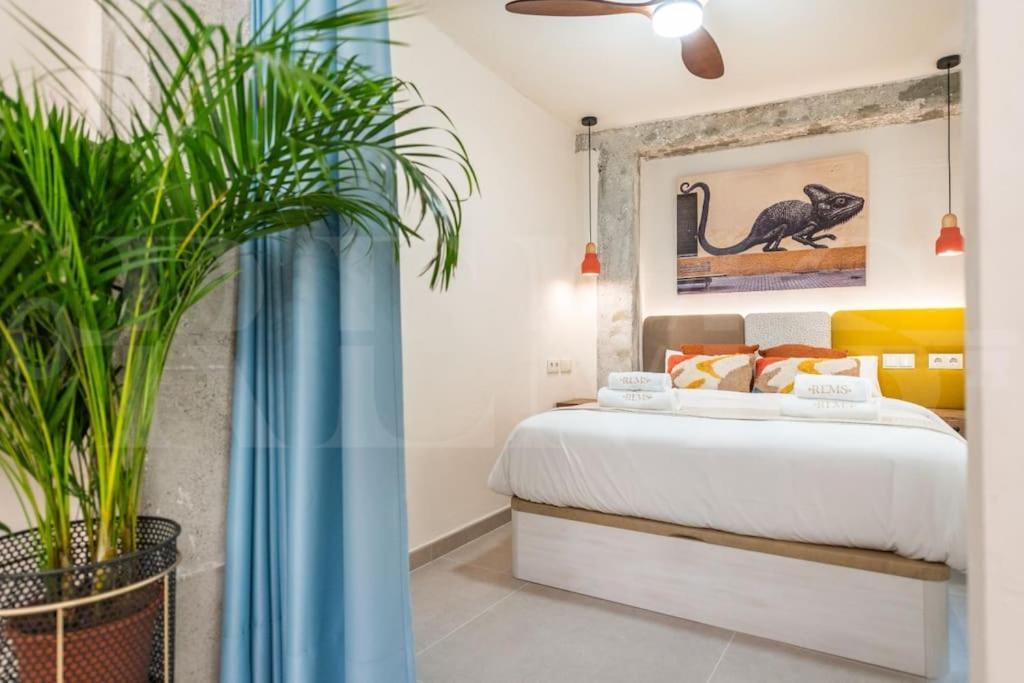 Apartment Stylish With A Street Art Touch By Rems *