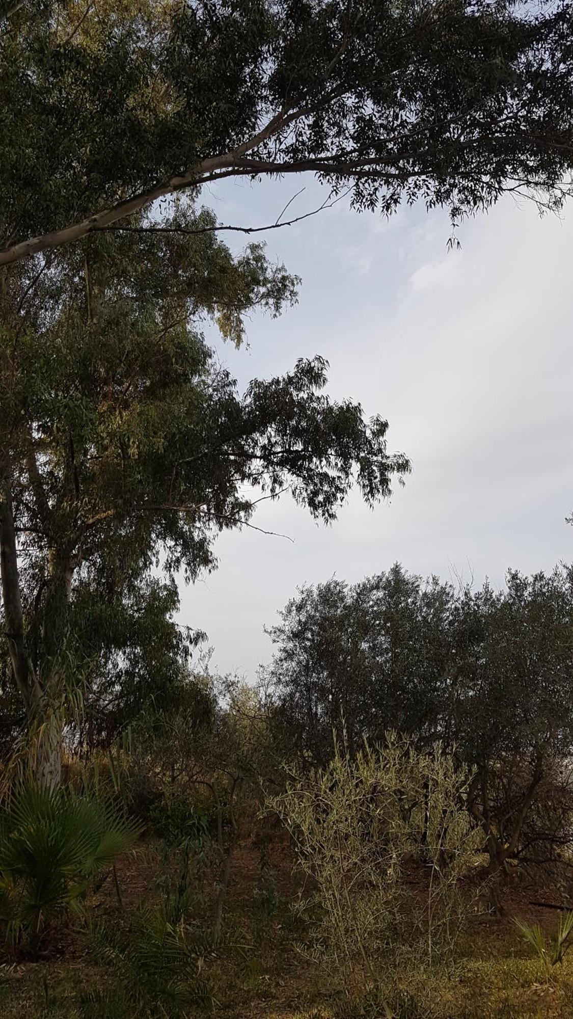 La Ermita Holiday home
