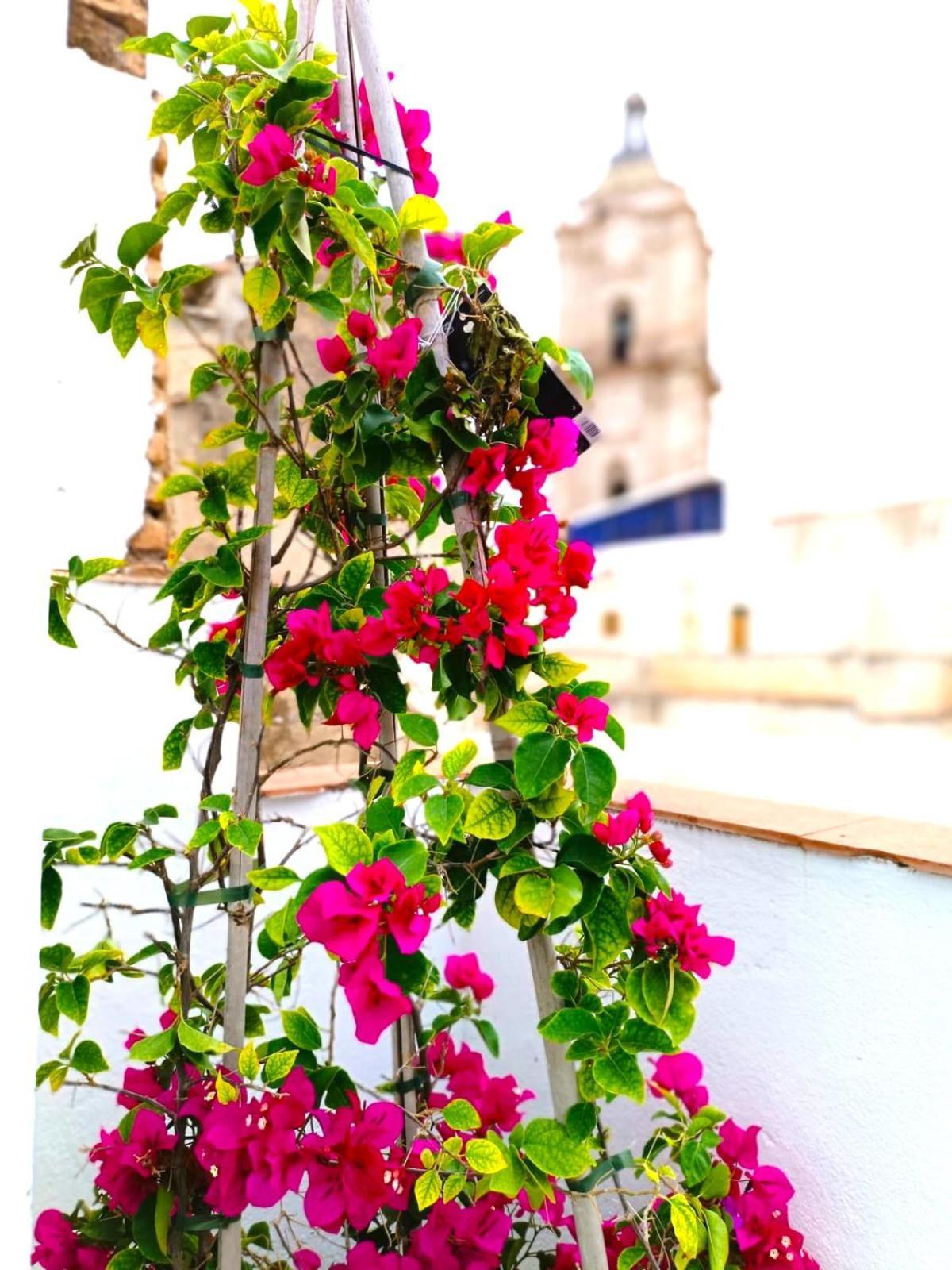 Appartement Calle Nueva