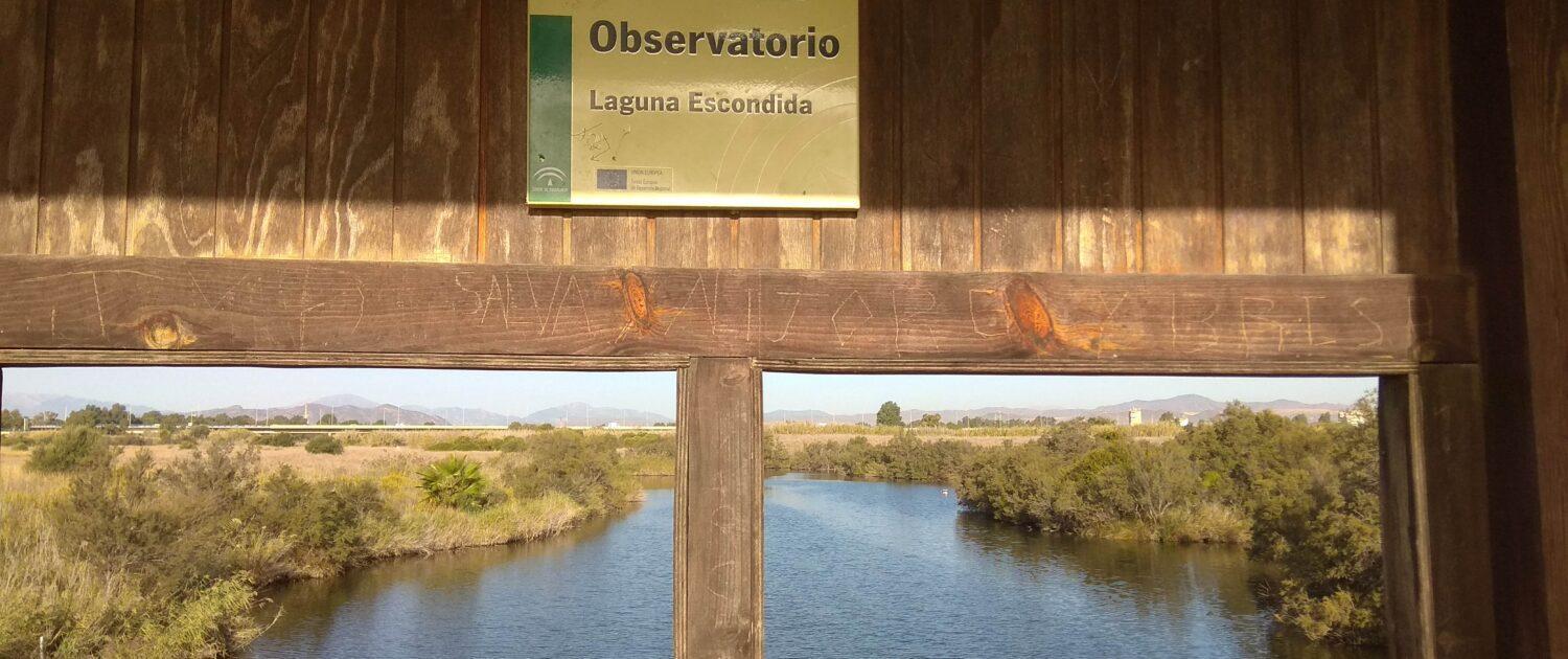 Appartamento Piso En Entorno Natural Con Excelente Comunicacion *