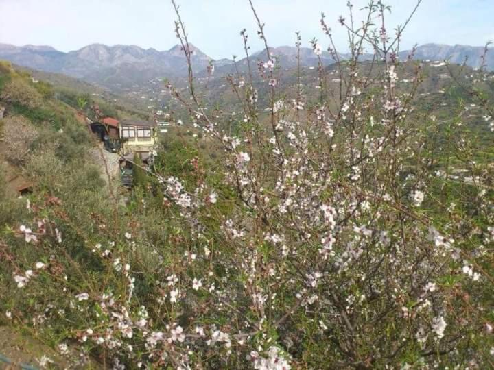 Casa Luxury Madera En Montanas De Torrox *