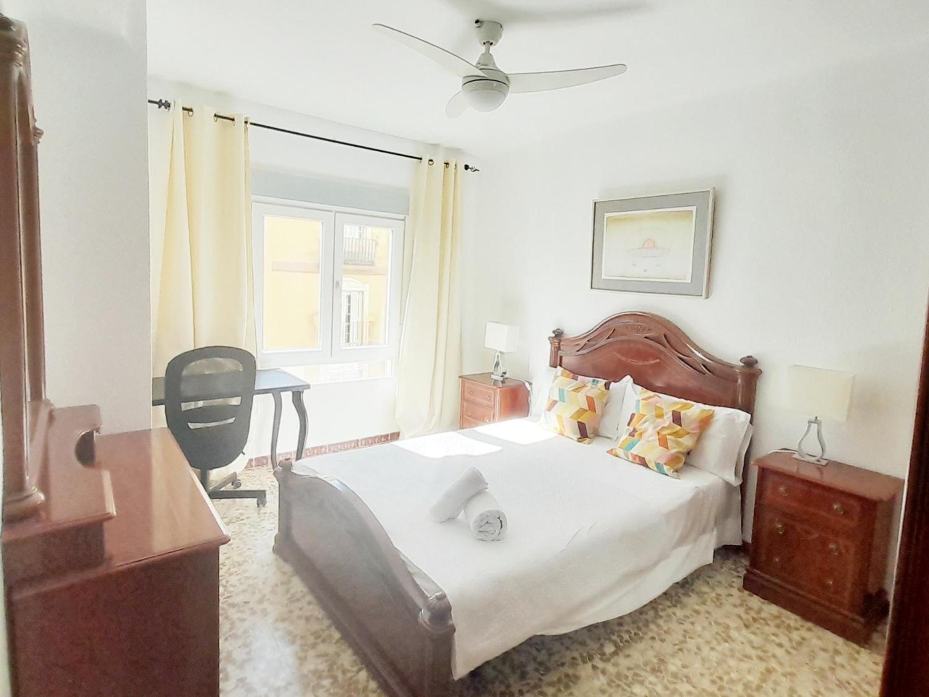 Appartement En El Centro Amplio Y Confortable Málaga