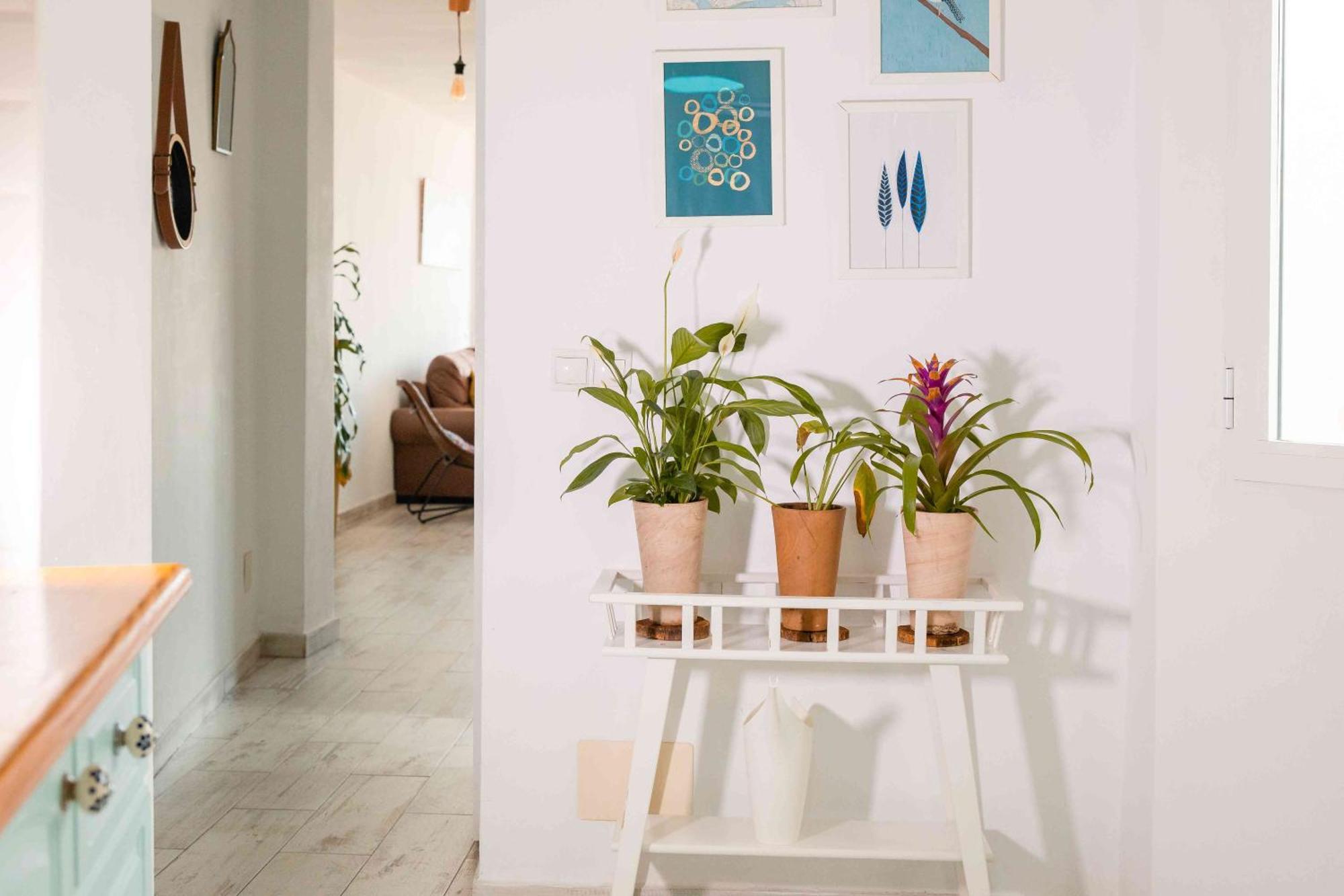 Apartment Atico Deluxe En El Centro By Lets Málaga