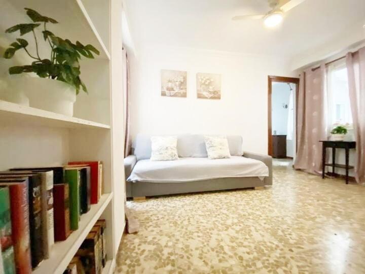 Appartement En El Centro Amplio Y Confortable Málaga